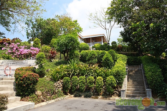 botanic_mansion_teatime2