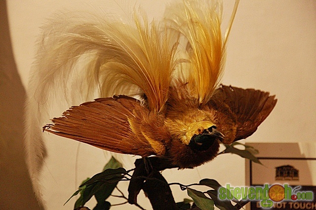 colonial_penang_museum25